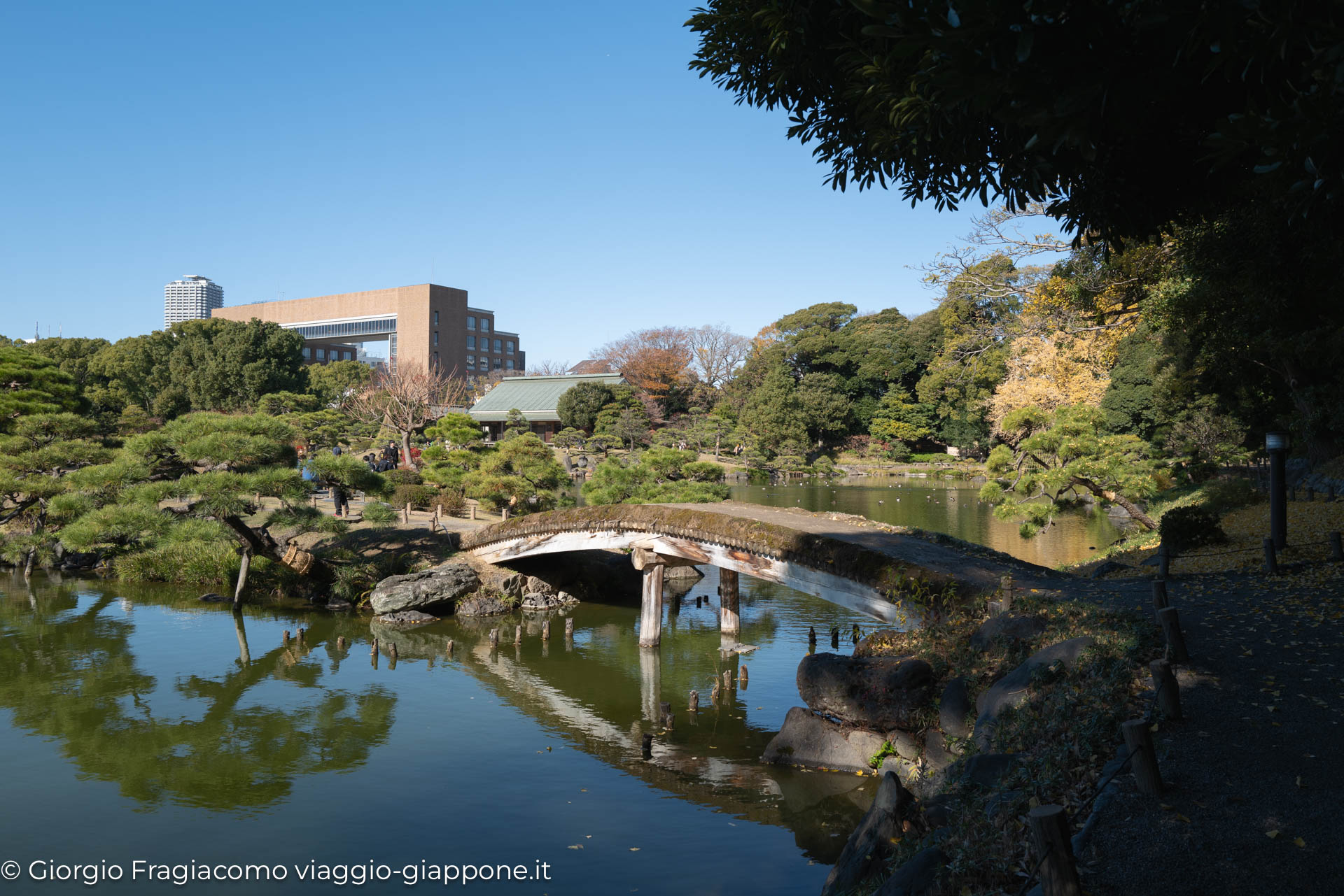 Kiyosumi Gardens 1171213